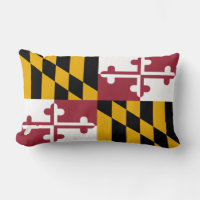 Statlig flagga i Maryland