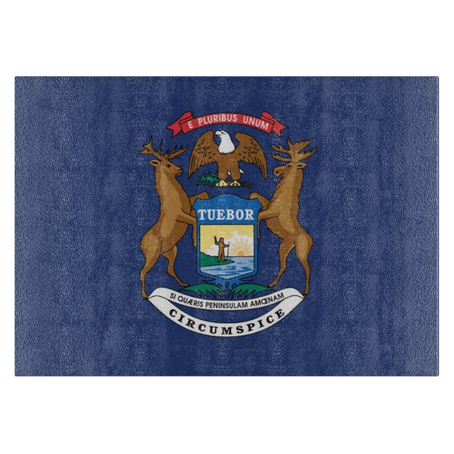 Statlig flagga i Michigan, Förenta staterna (Framsidan)