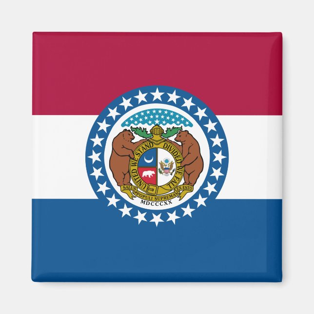 Statlig flagga i Missouri Magnet (Framsidan)