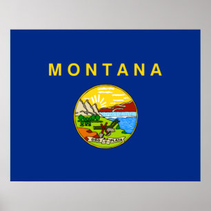 Statlig flagga i Montana Poster