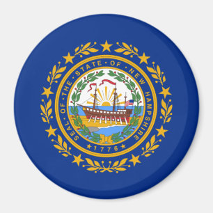 Statlig flagga i New Hampshire Magnet