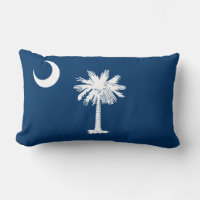 Statlig flagga i South Carolina