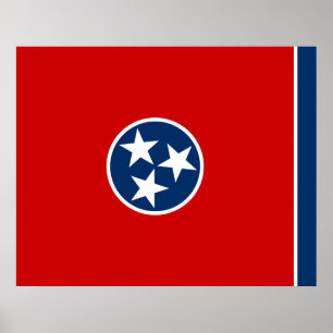 Statlig flagga i Tennessee Poster