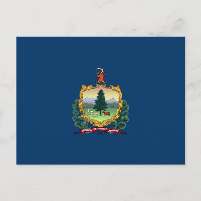 Statlig flagga i Vermont Vykort (Framsida)