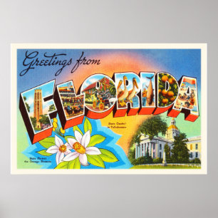 Statlig Florida FL gammal vintage resorsouvenir Poster