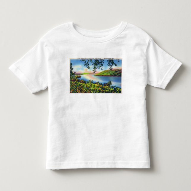 Statliga Hwy beskådar av bluff pekar Tee Shirt (Framsida)