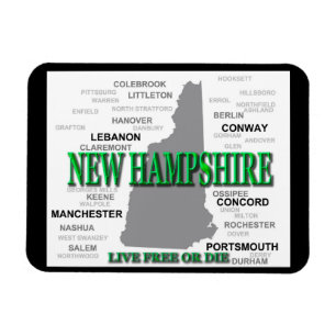 Statliga New Hampshire Magnet