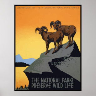 Statliga Parker-reservatet Vilda djur Poster