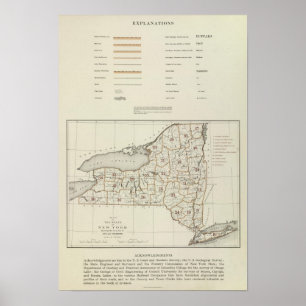 Statsatlas i New York Poster