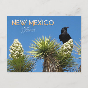 Statsblomman i new mexico: Yucca Flower Vykort