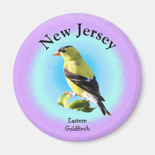 Statsfåglar i New jersey Magnet