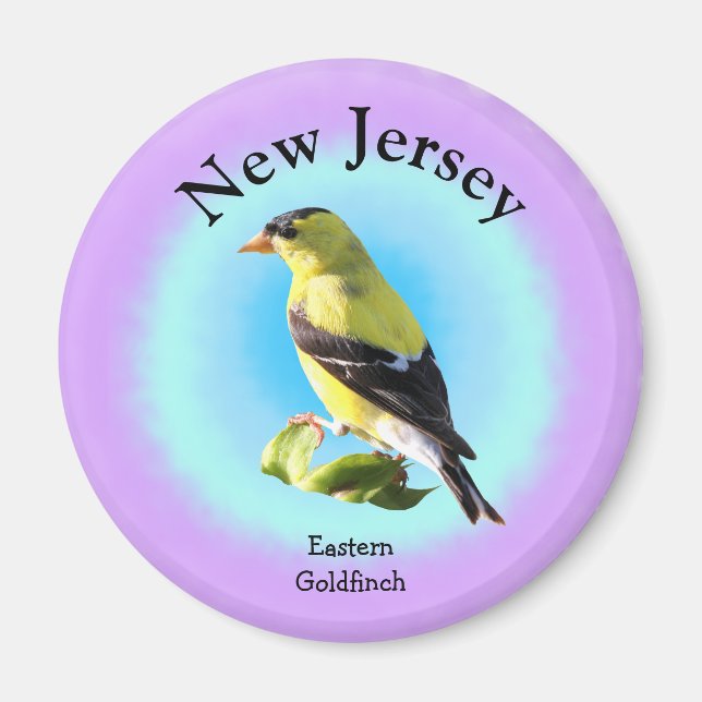 Statsfåglar i New jersey Magnet (Framsidan)