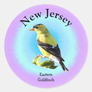 Statsfåglar i New jersey Runt Klistermärke