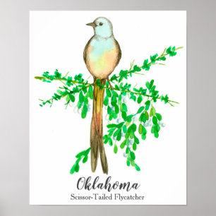 Statsfåglar i Oklahoma Scissor Tails Flycatcher Poster