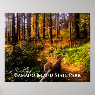 Statsparken Camano i Fall Poster