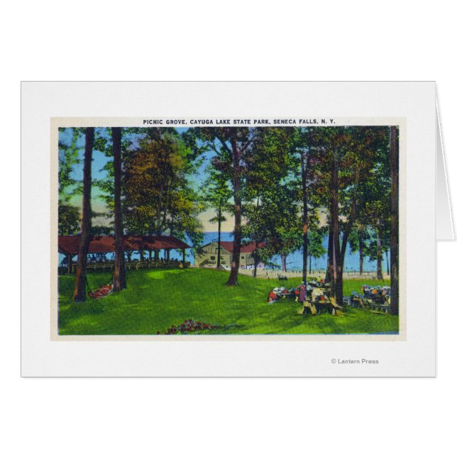 Statsparken i Sjö Cayuga Hälsningskort (Framsidan Horizontal)