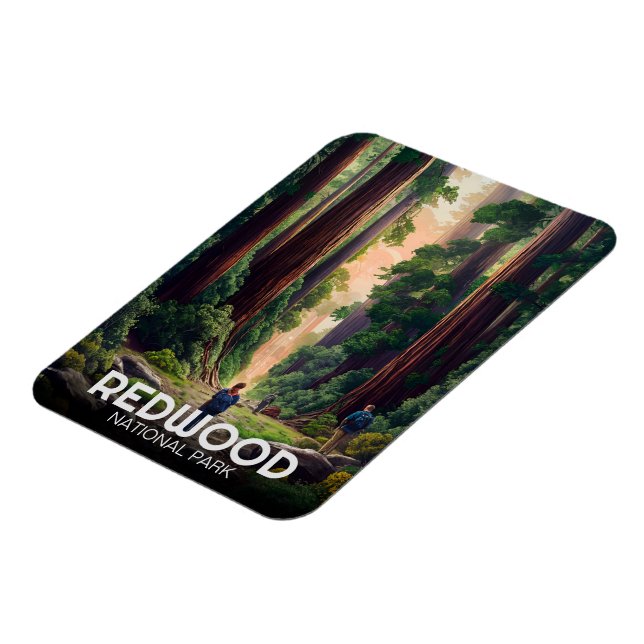 Statsparken Redwood, Kustkaliforniska Kalifornien Magnet (Vänstra Sidan)