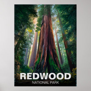 Statsparken Redwood, Kustkaliforniska Kalifornien Poster