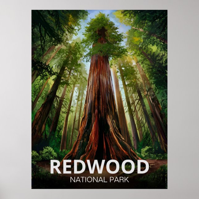 Statsparken Redwood, Kustkaliforniska Kalifornien Poster (Framsidan)