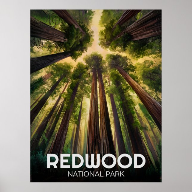 Statsparken Redwood, Kustkaliforniska Kalifornien Poster (Framsidan)