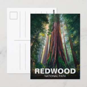 Statsparken Redwood, Kustkaliforniska Kalifornien Vykort