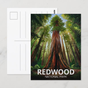 Statsparken Redwood, Kustkaliforniska Kalifornien Vykort