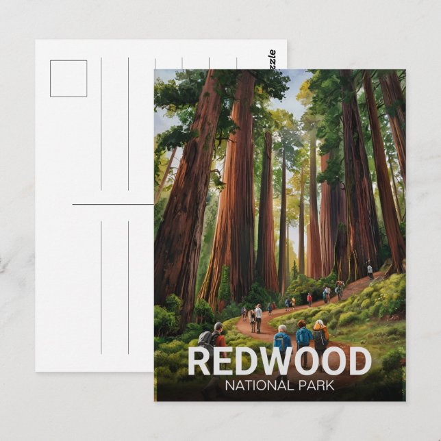 Statsparken Redwood, Kustkaliforniska Kalifornien Vykort (Fram/baksida)