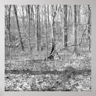 Statsparken Ridley Bäck Poster