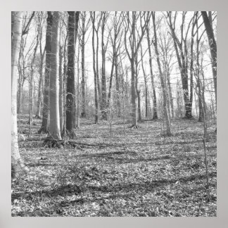 Statsparken Ridley Bäck Poster