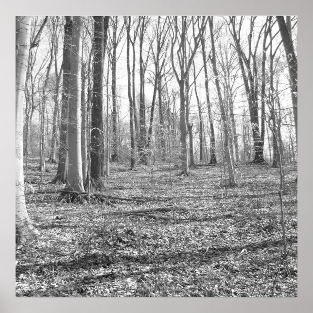 Statsparken Ridley Bäck Poster (Framsidan)