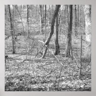 Statsparken Ridley Bäck Poster