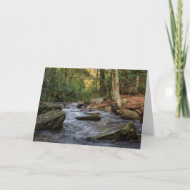 Statsparken Sand Vår Springa, Hickory Springa Kort