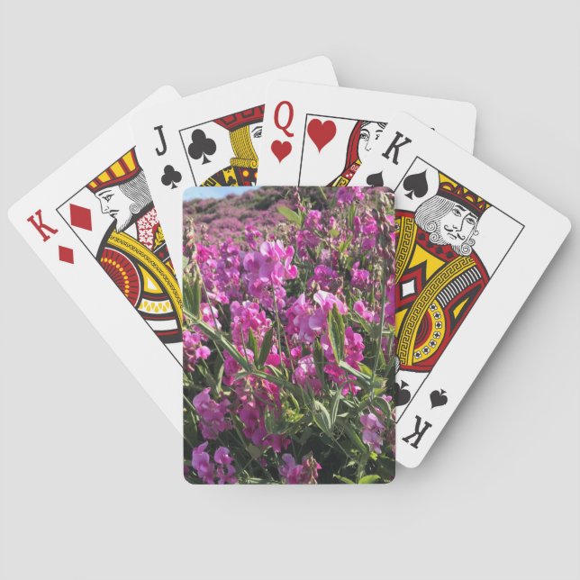 Statsparken Sten, Oregon Kusten Casinokort (Baksidan)