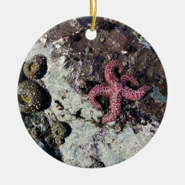 Statsparken Sten, Oregon Kusten Julgransprydnad Keramik (Framsidan)