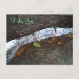 Statsparkpark i Springa Vykort