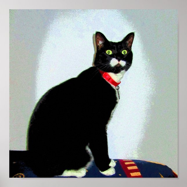 Statue Lucy Poster (Framsidan)