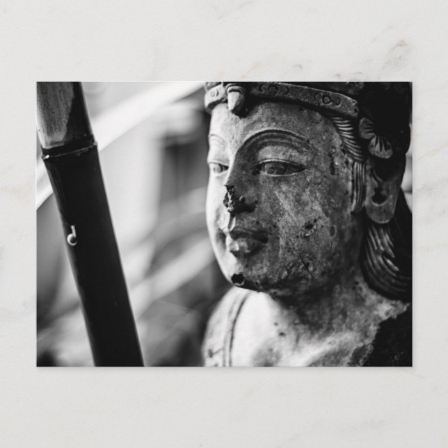 Statue och Snigel-vykort Vykort (Framsida)