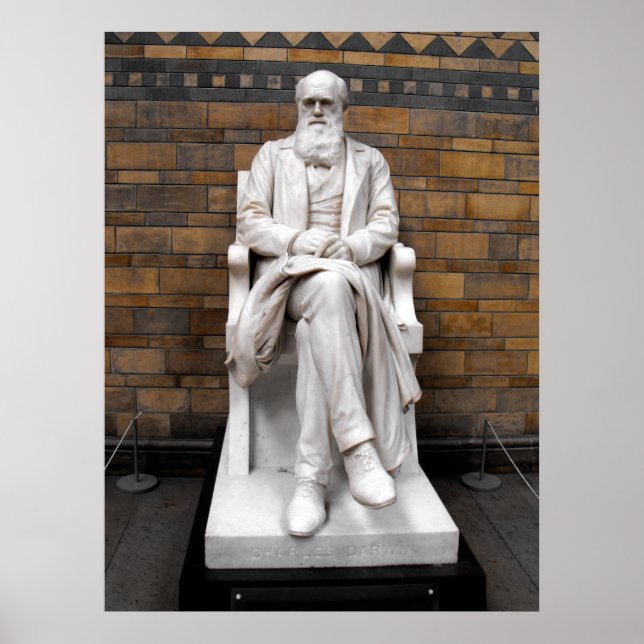 Statue of Charles Darwin Poster (Framsidan)