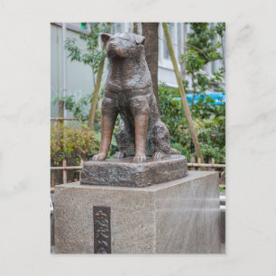 Statue of Chuken Hachiko Vykort