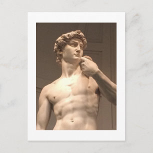 Statue of David Florence Postcard Vykort