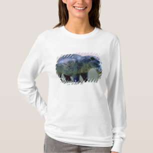Statuette av en flodhäst t shirt