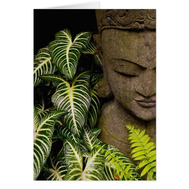 Status i en Garden Location Information: Chiang Mo Hälsningskort (Framsidan)