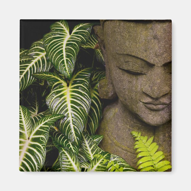 Status i en Garden Location Information: Chiang Mo Magnet (Framsidan)