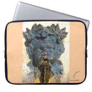 Status Laptop Fodral