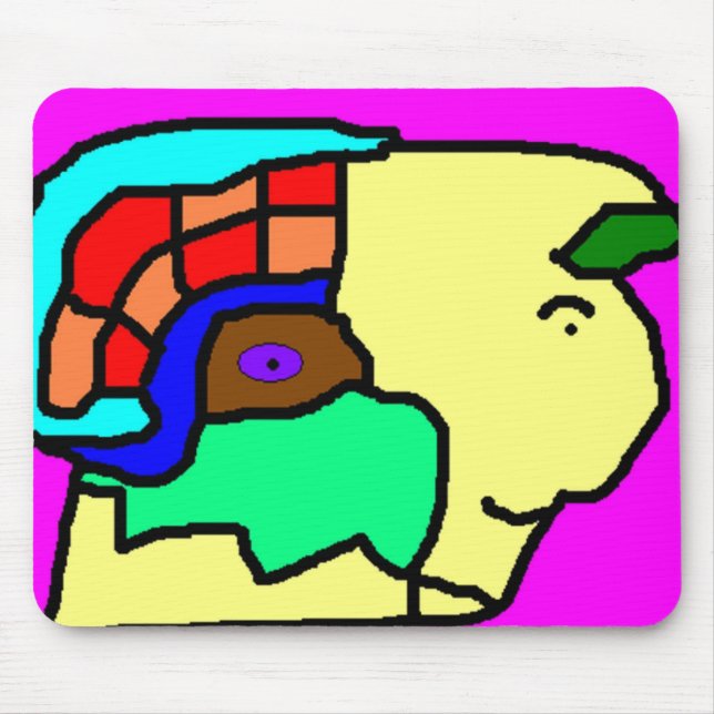 Statuschef Musmatta (Framsidan)