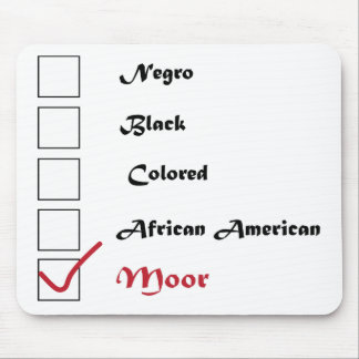 Statuskontrollmusen vadderar musmatta