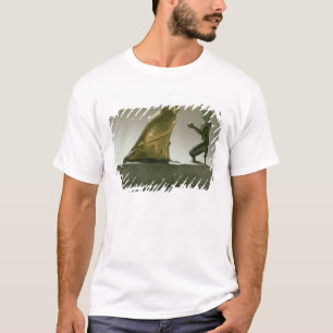 Staty av kungen Taharqa som tillber falk-guden T-shirt
