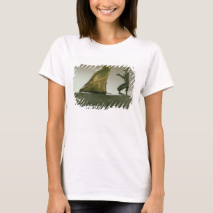 Staty av kungen Taharqa som tillber falk-guden Tee Shirt