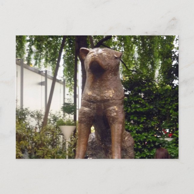 staty hachiko shibuya vykort (Framsida)