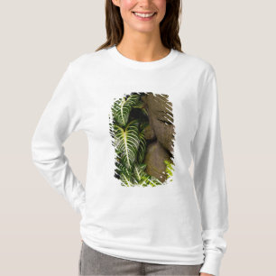 Staty i en trädgårds- information om läge: Chia T-shirt